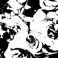 Weiße Rosen, tongetrennt